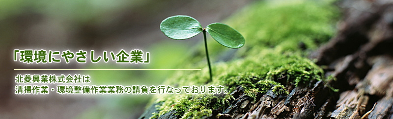 Main visual banner