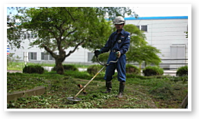 草刈作業の様子